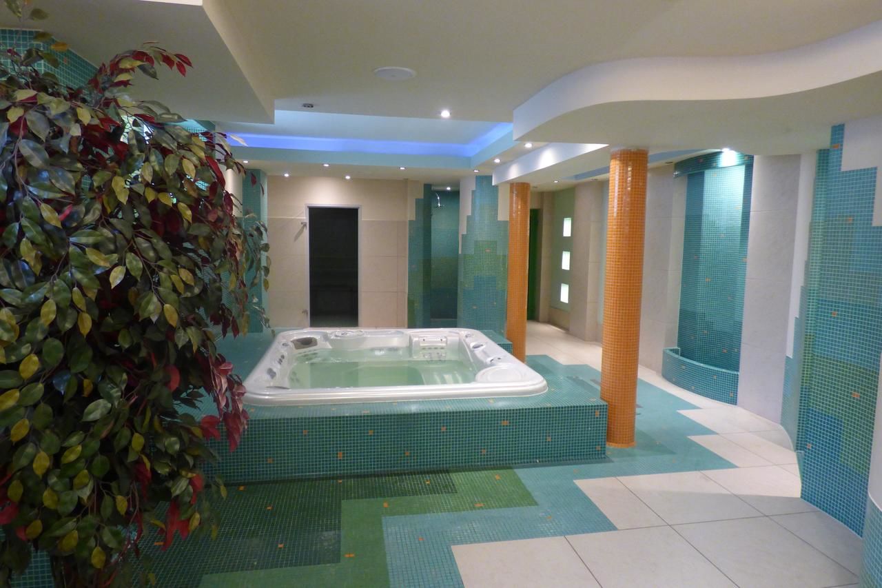 Отель Hotel Natura Zdrój Wellness & SPA Ивонич-Здруй-8